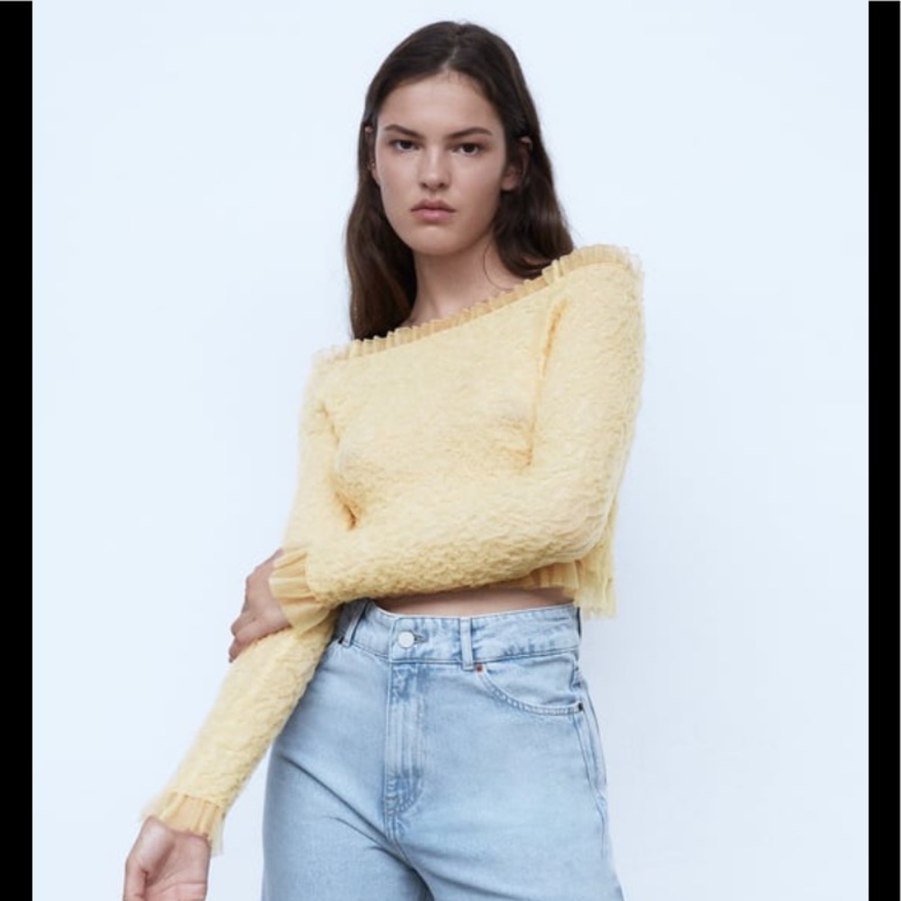 ZARA Knit Organza Top NWT